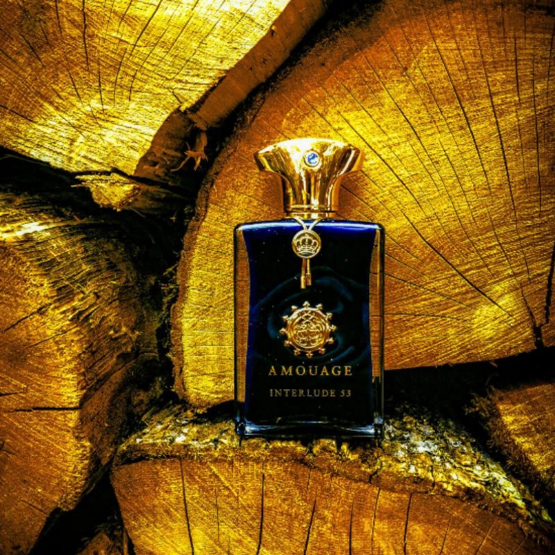 Mens Woody Floral Perfume Long Lasting Spicy Elegant Fragrance Collection for Romantic Evenings Daily Wear Confident Charm